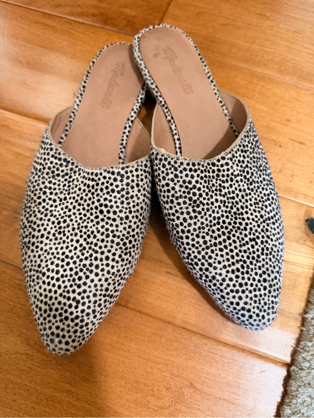 MADEWELL Pointed Slip-On Mule in Black and Cream Dotted Print